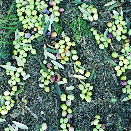 Готель Rina Амальфі