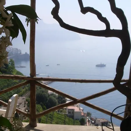 Rina Amalfi