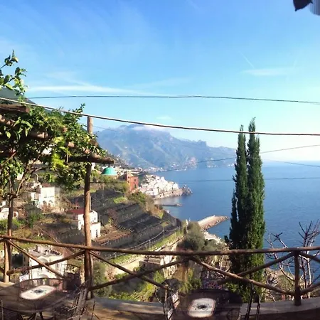 Rina Amalfi