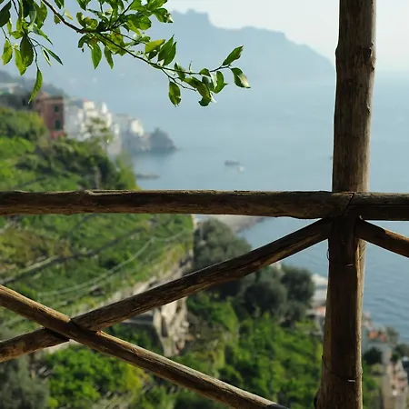 Rina Amalfi