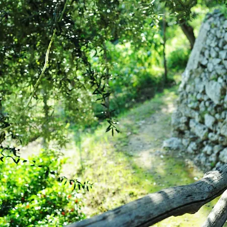 Rina Amalfi